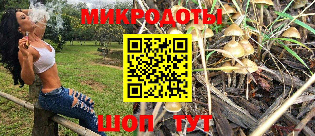 Галлюциногенные грибы GOLDEN TEACHER Большой Камень