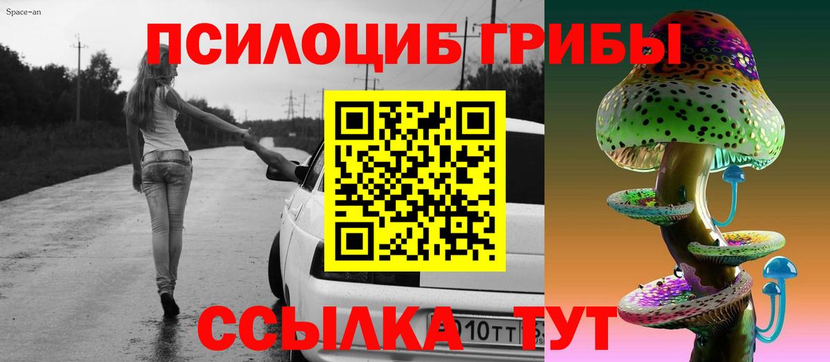 Псилоцибиновые грибы GOLDEN TEACHER  Вход с VPN  Большой Камень 
